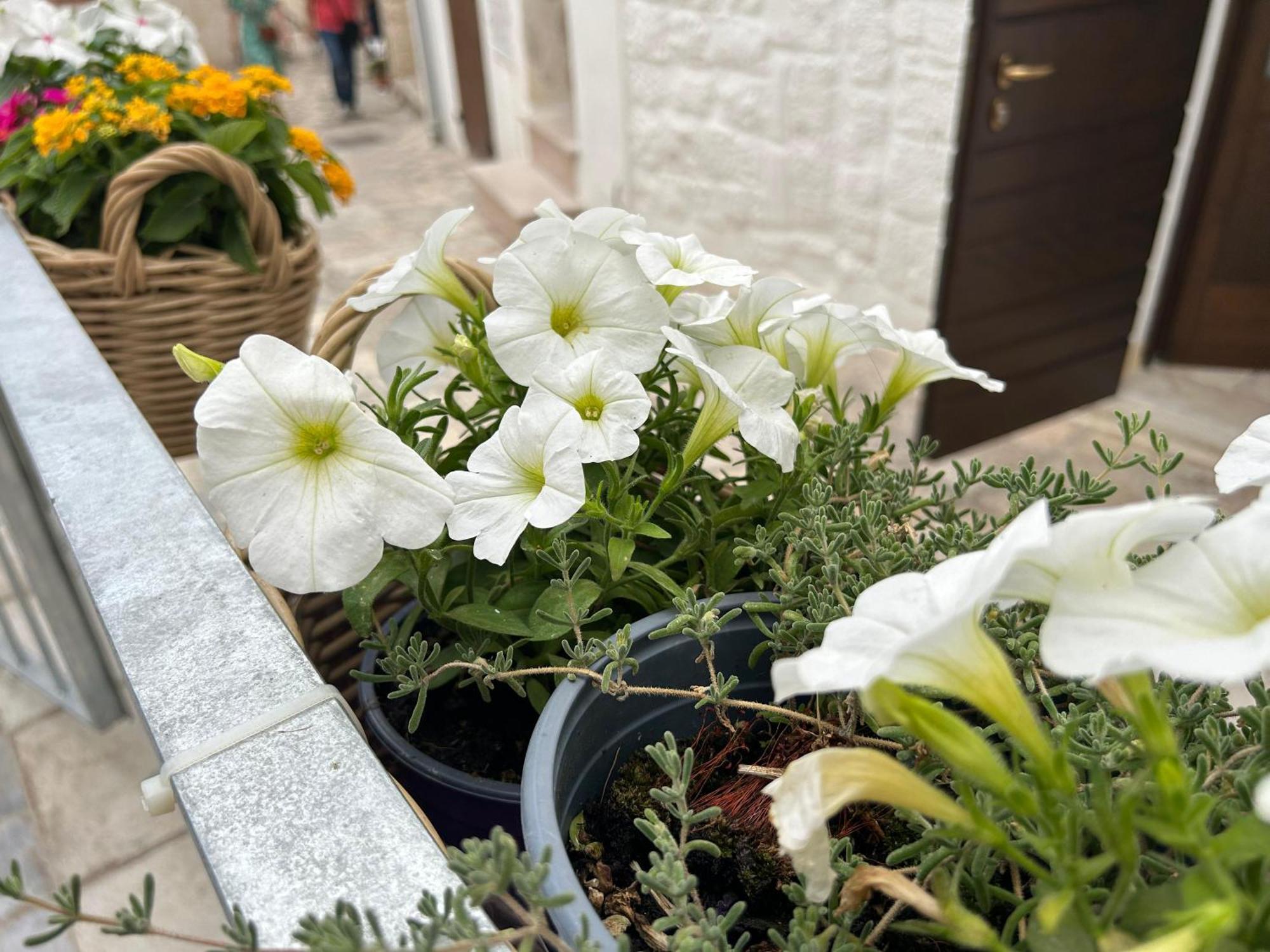 Trame Poesia Di Mare 2 Bed & Breakfast Polignano a Mare Dış mekan fotoğraf