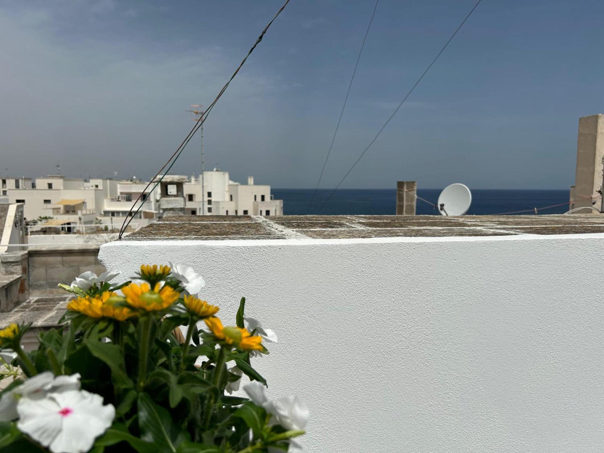 Trame Poesia Di Mare 2 Bed & Breakfast Polignano a Mare Dış mekan fotoğraf