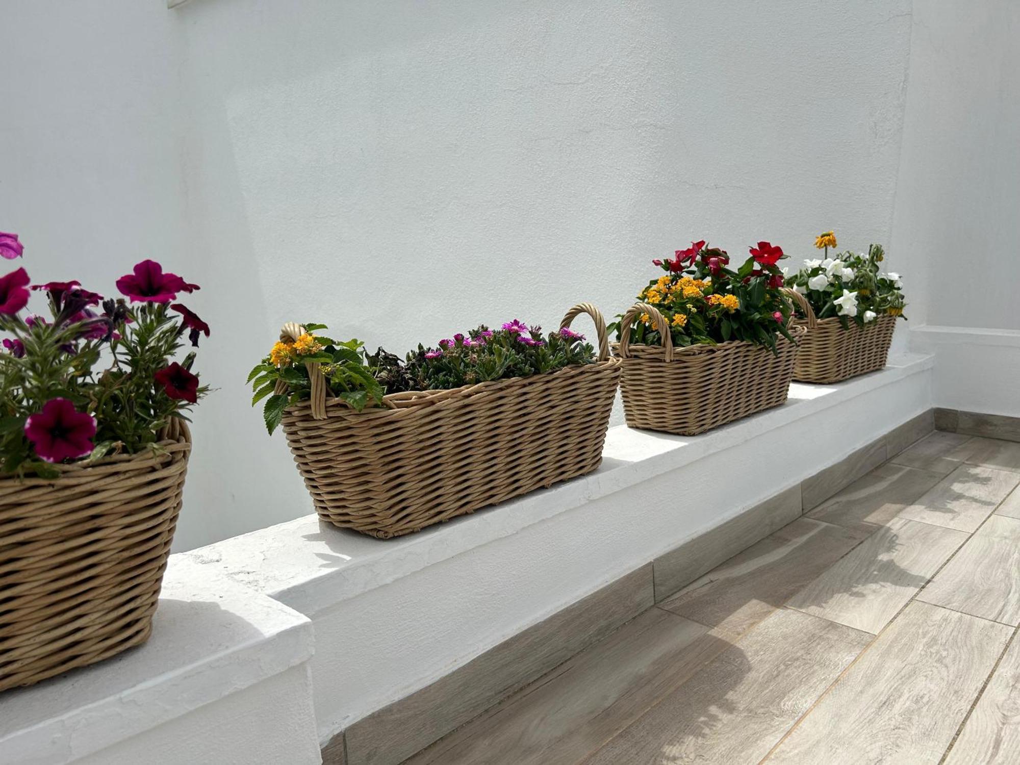 Trame Poesia Di Mare 2 Bed & Breakfast Polignano a Mare Dış mekan fotoğraf